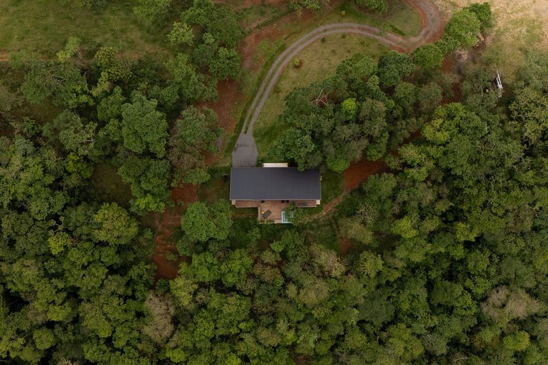 Forest Cabin / Angá Arquitetura - Image 6 of 25