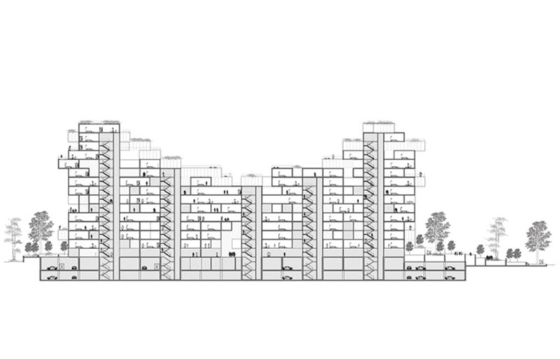 section